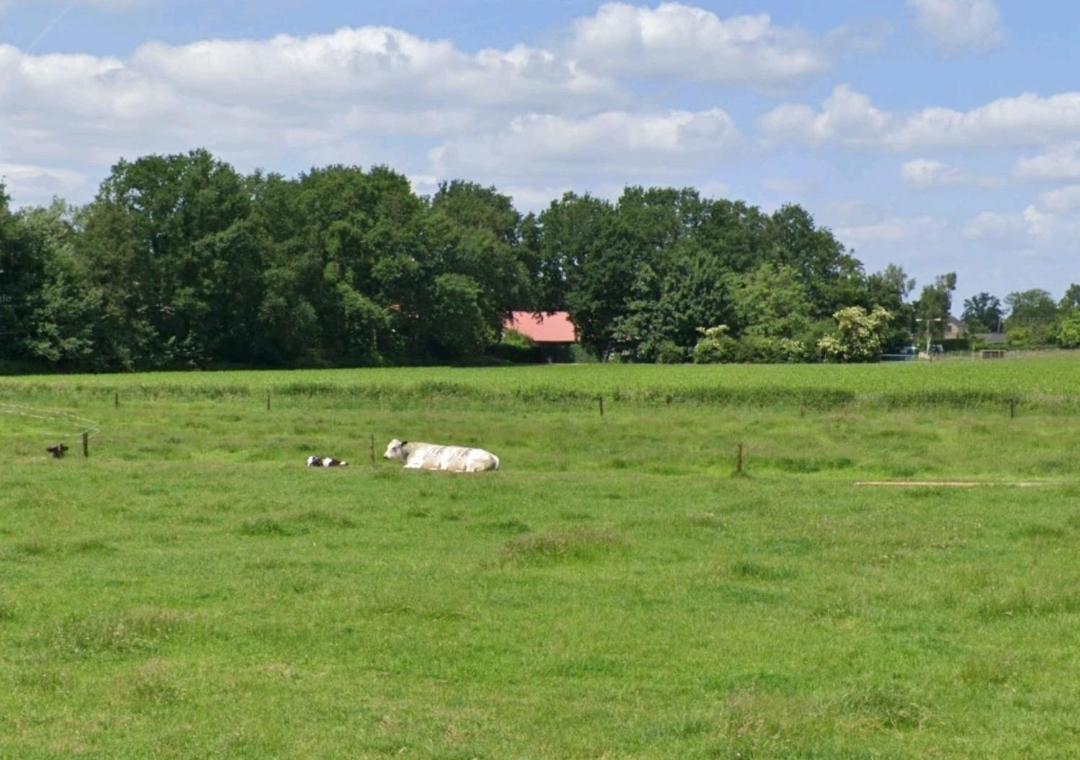 Bed & Breakfast Boekel Kültér fotó
