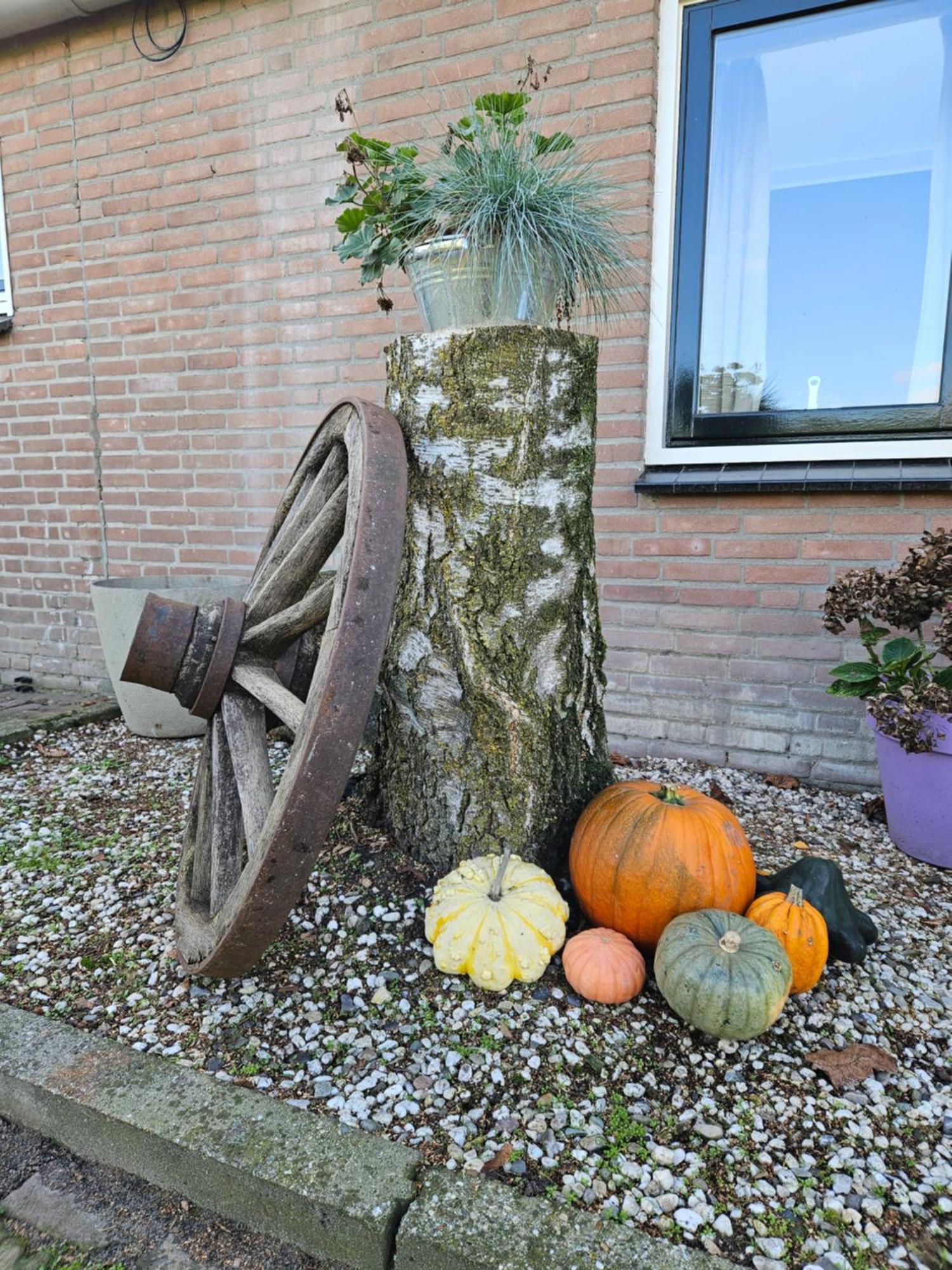 Bed & Breakfast Boekel Kültér fotó